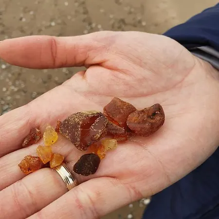 別荘 Horyzont ジブヌベク